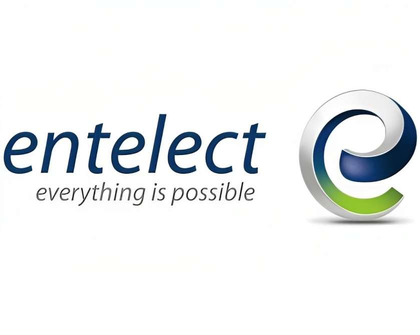 entelect